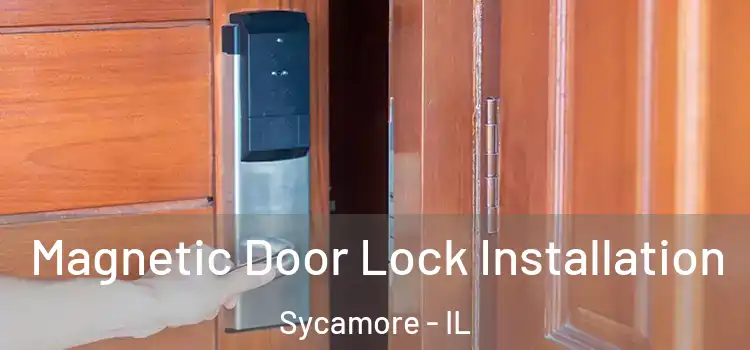  Magnetic Door Lock Installation Sycamore - IL