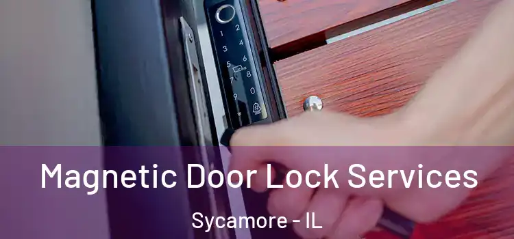  Magnetic Door Lock Services Sycamore - IL