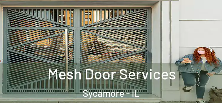  Mesh Door Services Sycamore - IL