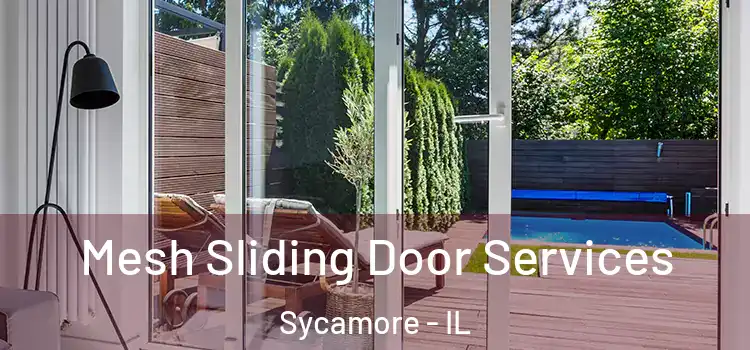  Mesh Sliding Door Services Sycamore - IL