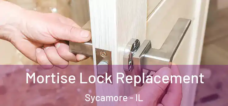  Mortise Lock Replacement Sycamore - IL