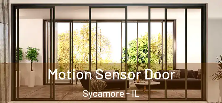 Motion Sensor Door Sycamore - IL