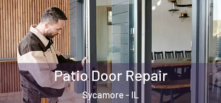  Patio Door Repair Sycamore - IL