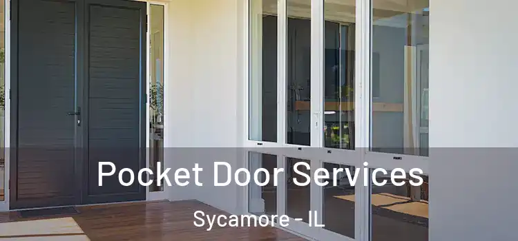  Pocket Door Services Sycamore - IL