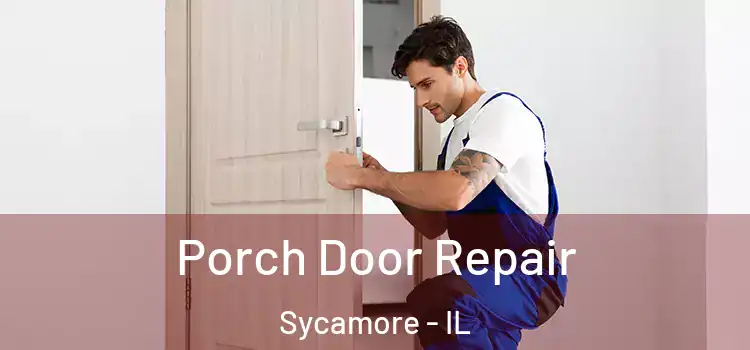  Porch Door Repair Sycamore - IL