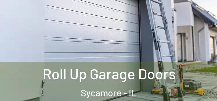  Roll Up Garage Doors Sycamore - IL
