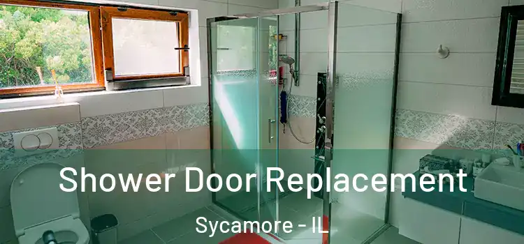  Shower Door Replacement Sycamore - IL