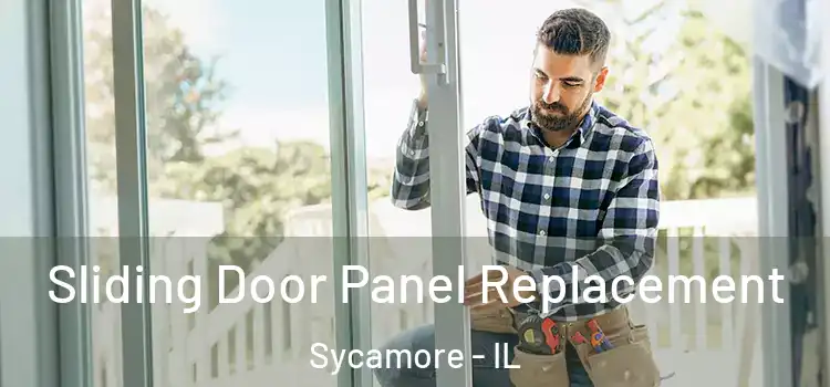  Sliding Door Panel Replacement Sycamore - IL
