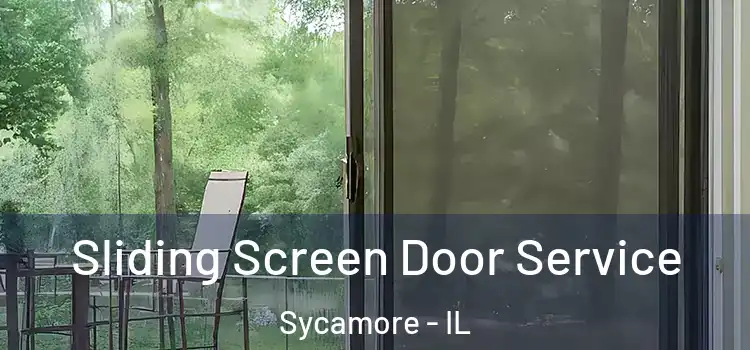  Sliding Screen Door Service Sycamore - IL