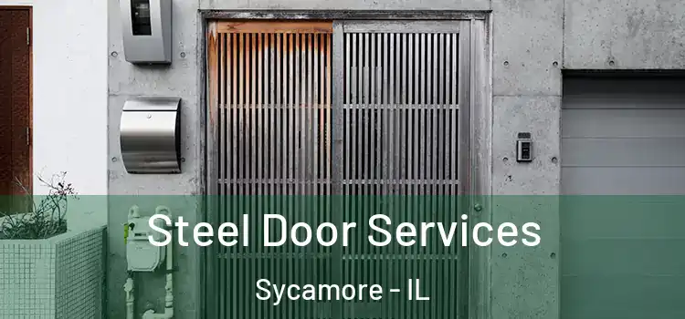  Steel Door Services Sycamore - IL