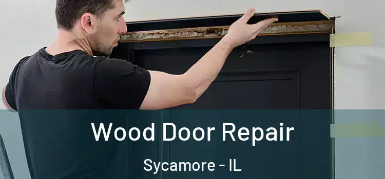  Wood Door Repair Sycamore - IL